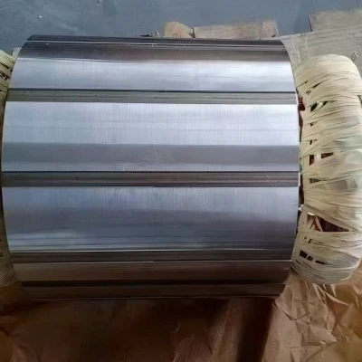 Cuộn Dây Động Cơ Stator Chiller Tẩm Sơn Cách Điện Chân Không